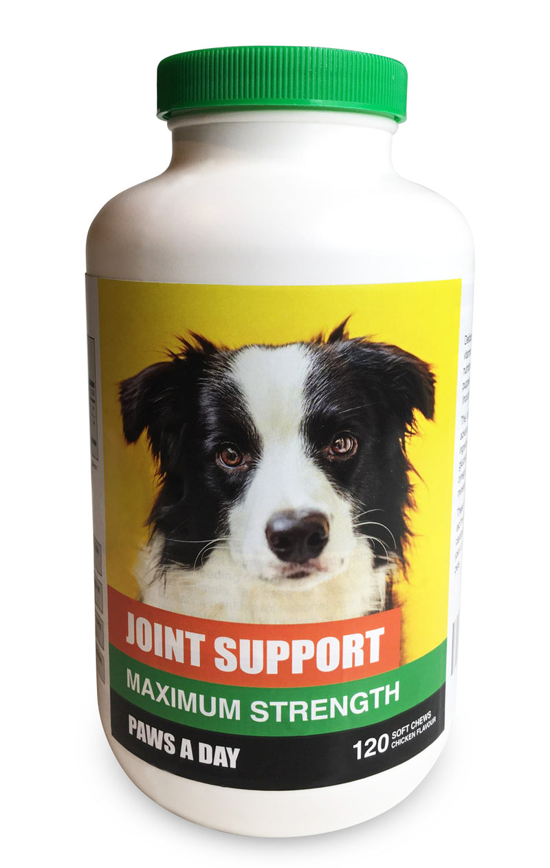 Joint Support for Dog